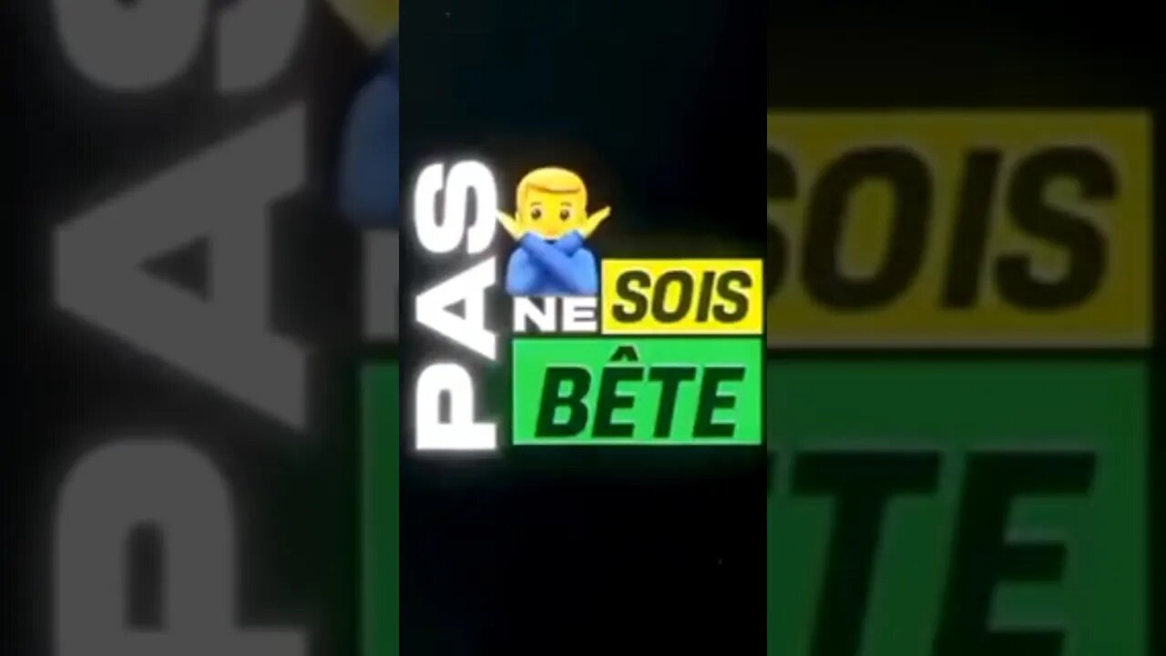 LETO- PSO BOB EXCLU 2023 #album #exclu #2023