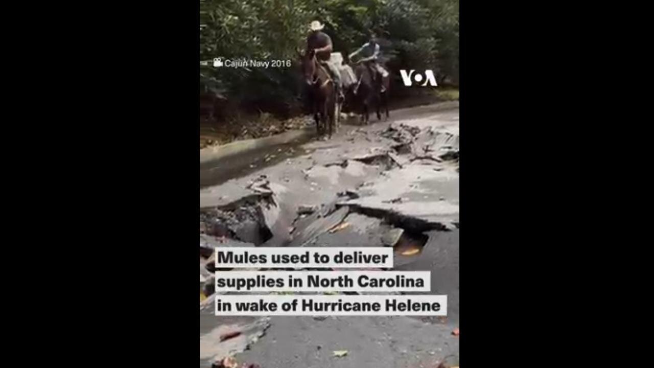 Volunteers Use Mules to Deliver Food & Supplies in North Carolina in Wake of Hurricane Helene | VOA News