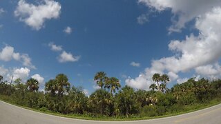 Blasian Babies Family Drive The 2019 Honda Pilot Elite AWD From Jacksonville To Fernandina Beach, FL