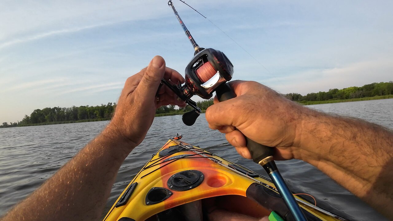 Devil’s Creek catfish