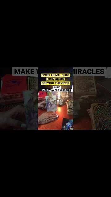 #dailytarotreading #shortsfeed #tarotshort #animalspiritguides #spiritguidemessage#lawofattraction