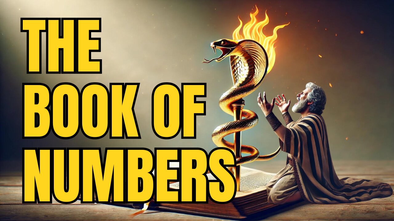 The Book of Numbers: Faith, Failure, and God's Guidance ✝️