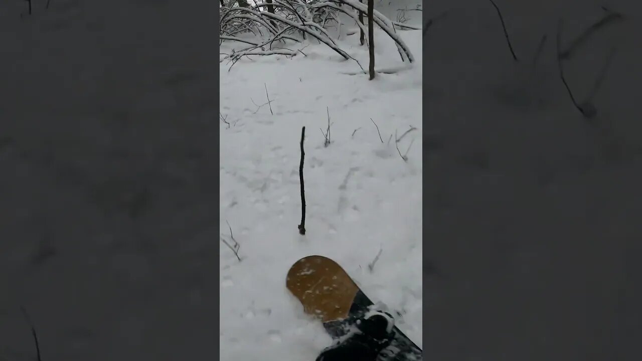 Back Country Snowboarding