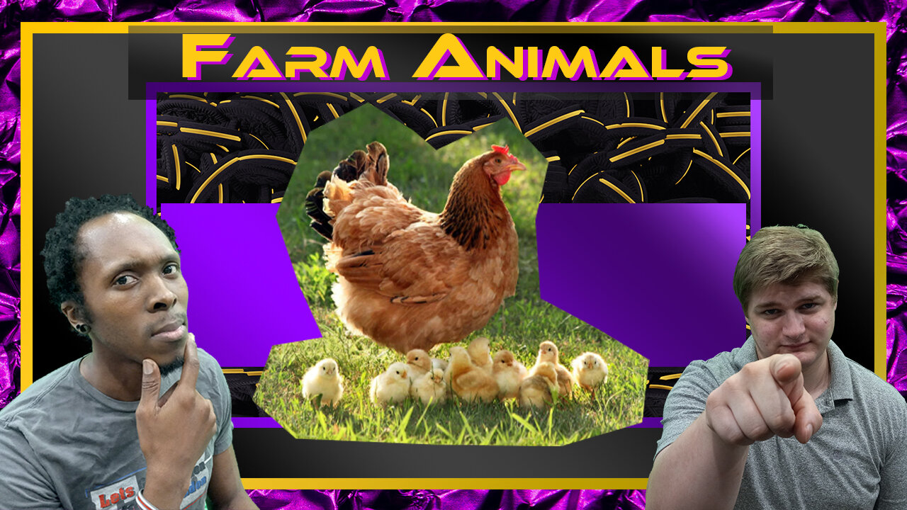 Oreyo Show EP.66 Clips | Farm animals