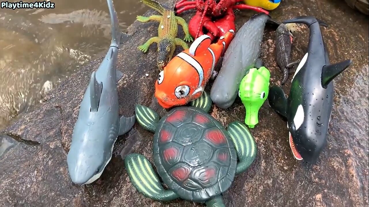 Sea Animal Toys This Summer at the Shore