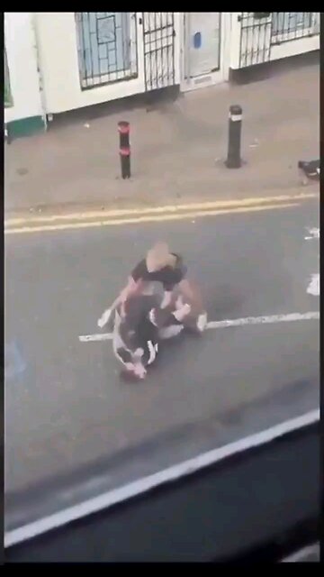 FAFO: Lady knocks guy out after he assault her even though she was trying to help him.