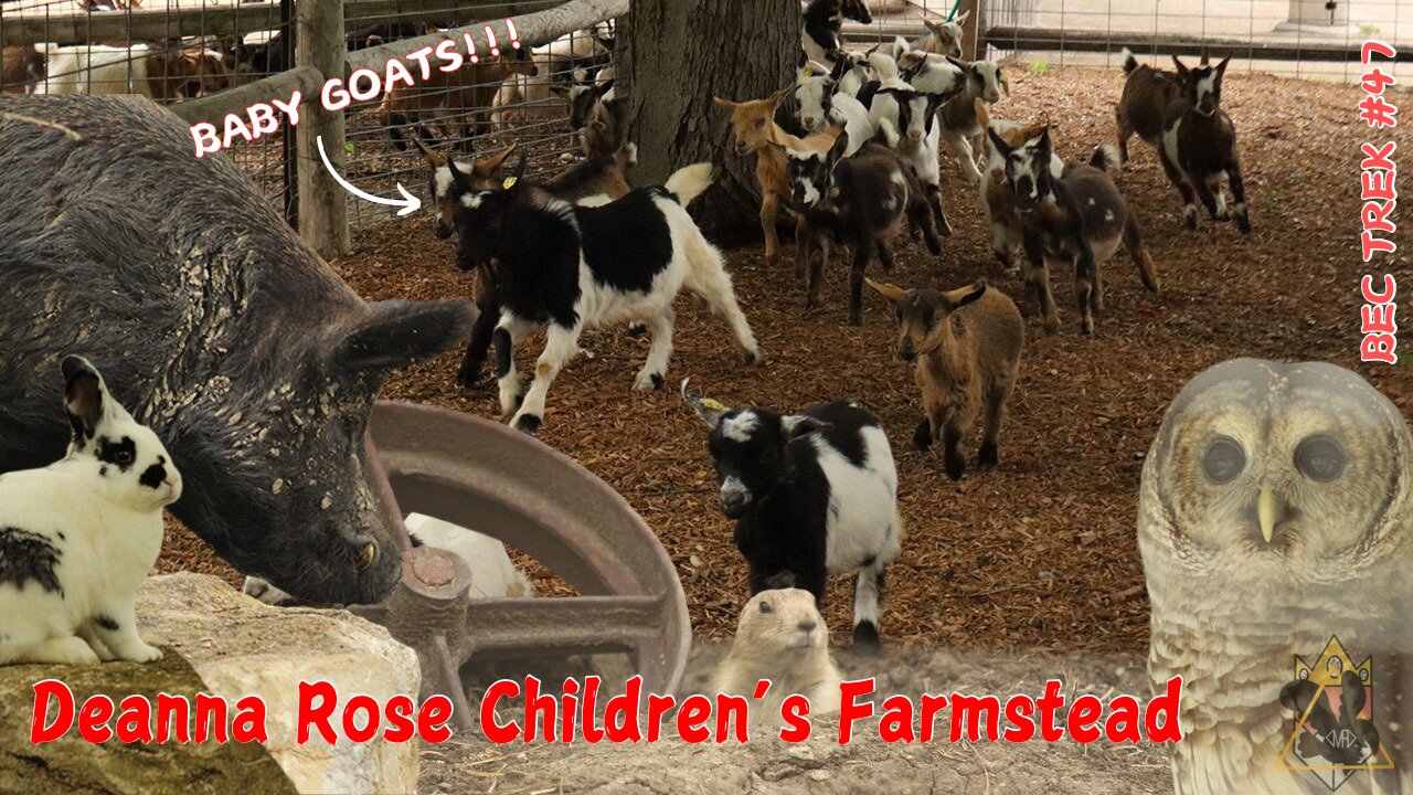The Running of the Goats!!! | Deanna Rose Children's Farmstead | BEC TREK Episode 47