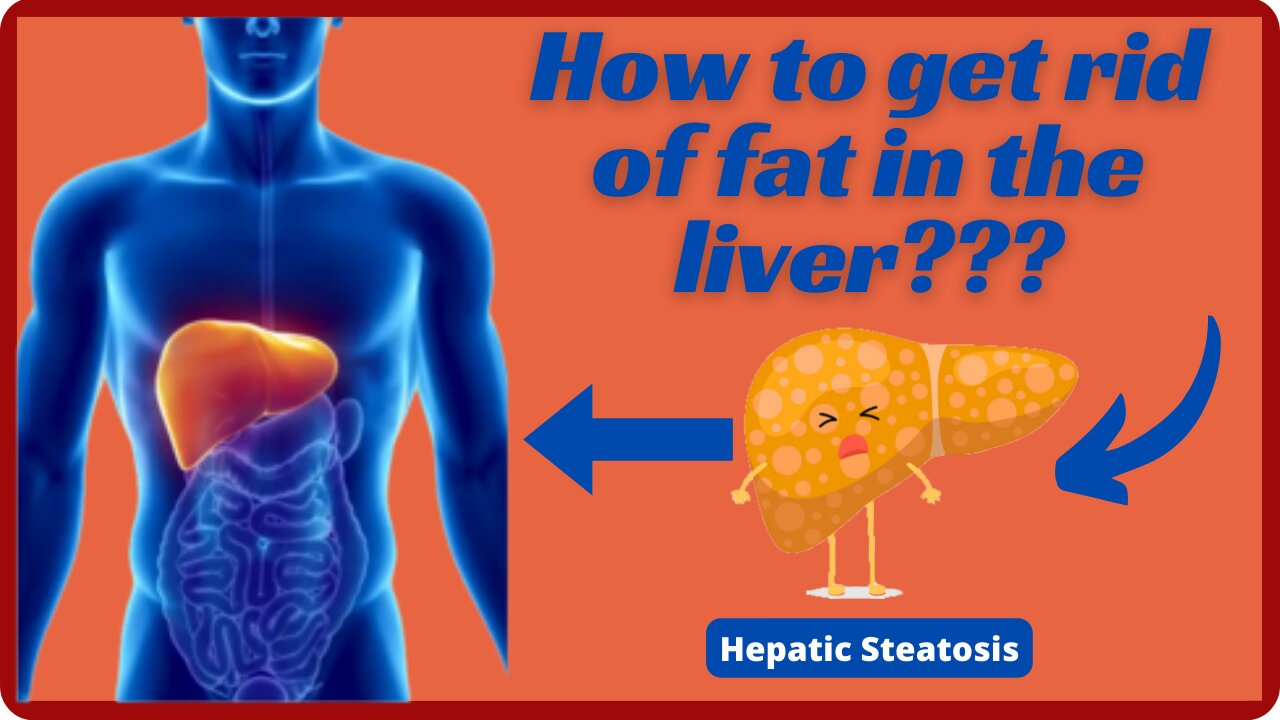 Steatosis - How to get rid of fat in liver?