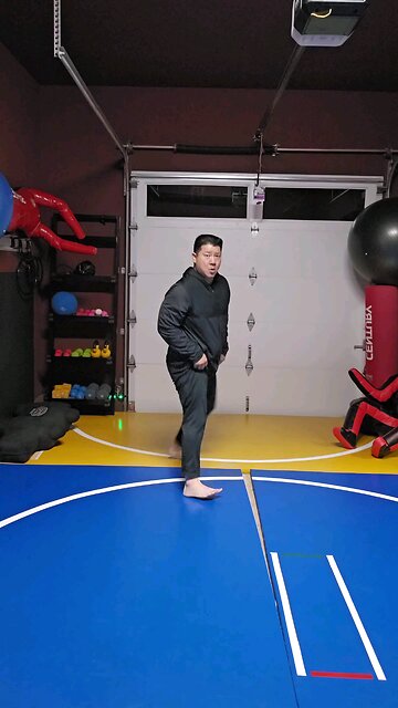 WTD Battering Crescent Kick (to sprawl)