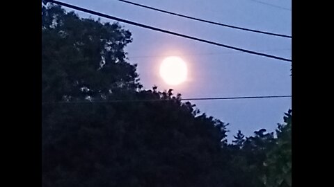 Lunar Wave and the Great Space Hoaxer