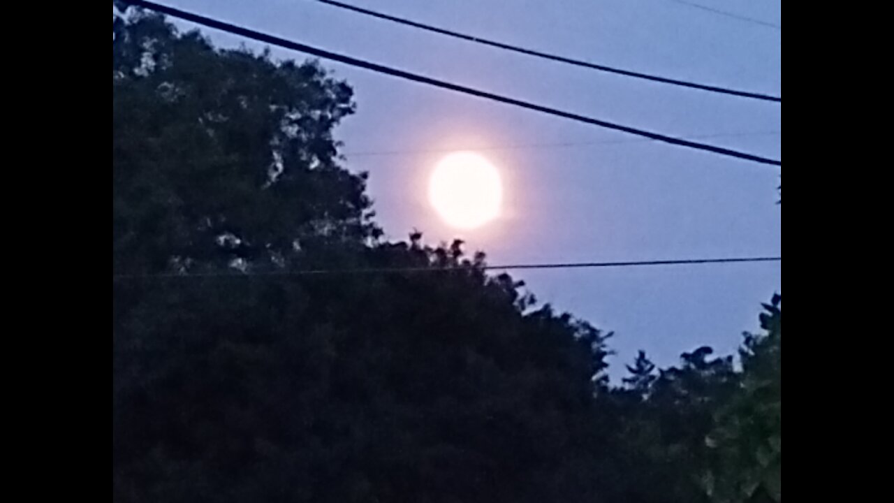Lunar Wave and the Great Space Hoaxer