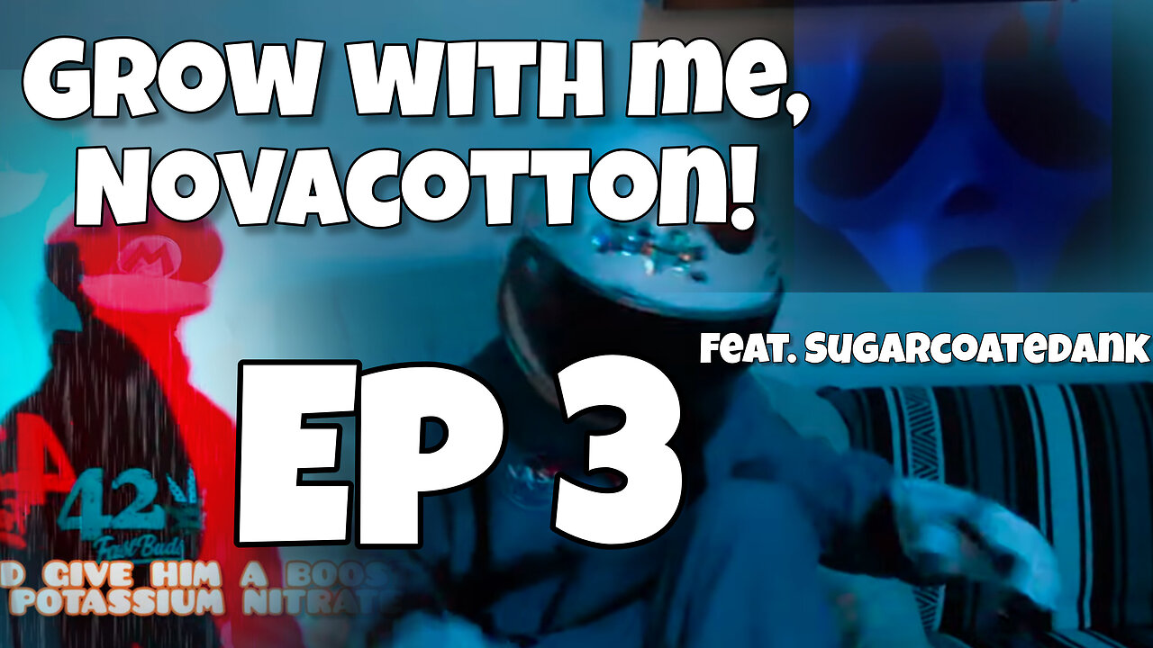 Grow with me, Novacotton! EP. 3 (week 2) Feat. SugarcoatedDank