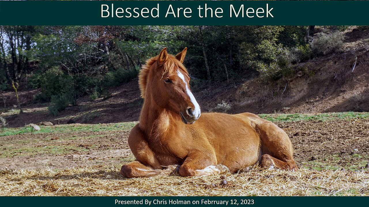 Blessed Are the Meek