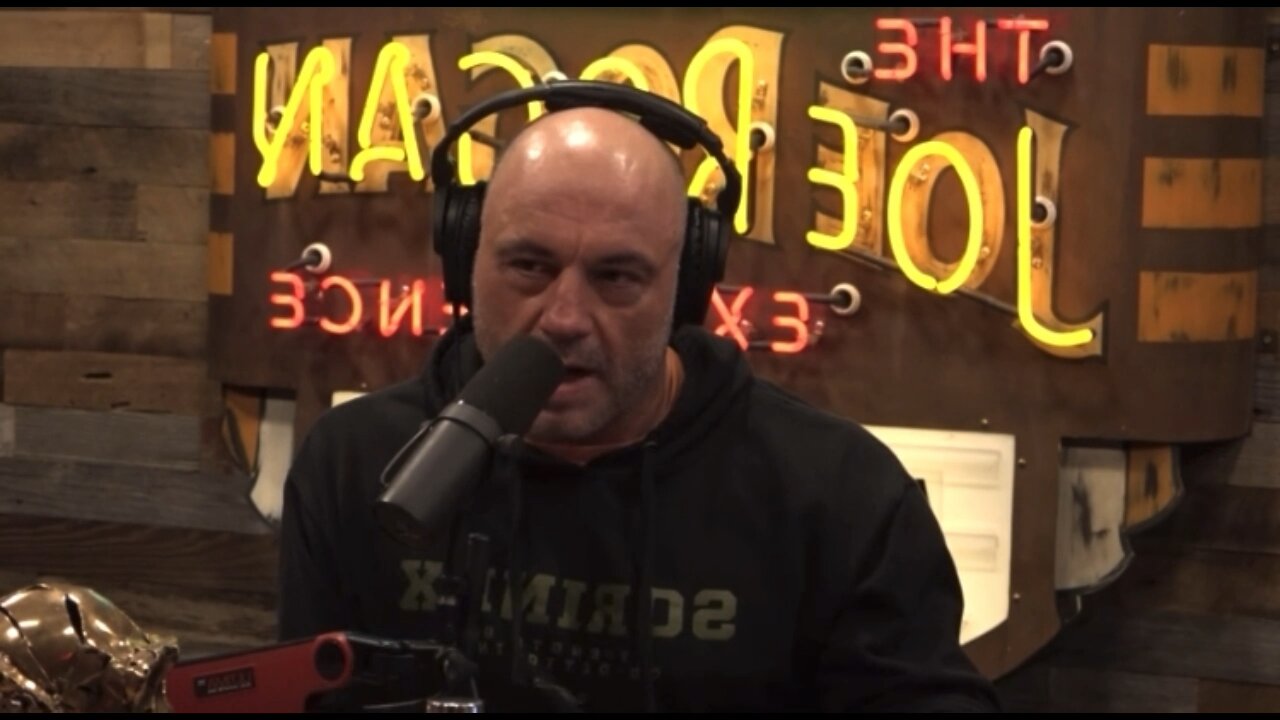 Joe Rogan on the Metaverse