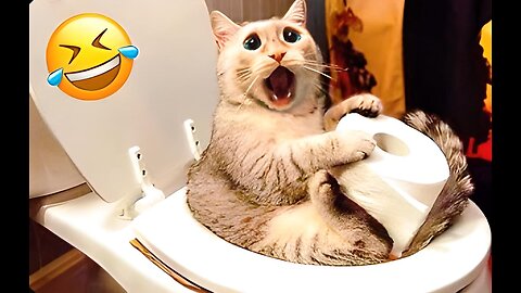 Funniest Dogs And Cats Videos 😅 - Best Funny Animal Videos 2022🥰