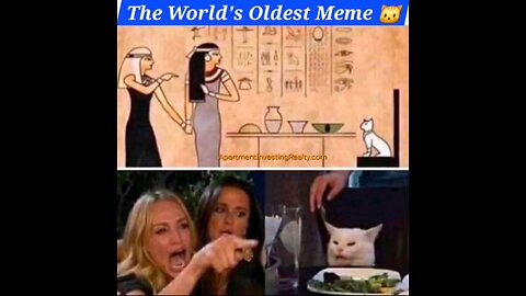 Oldest Meme 😂🐱