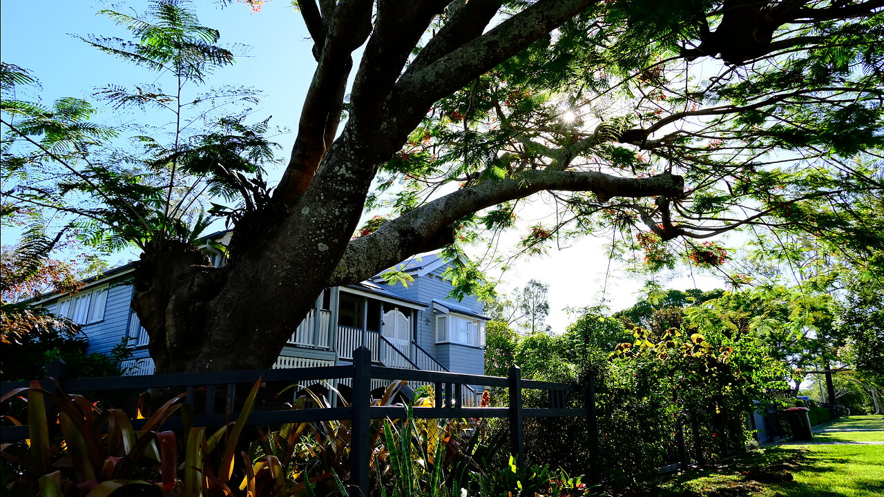 The Beauty of Brisbane’s Streets