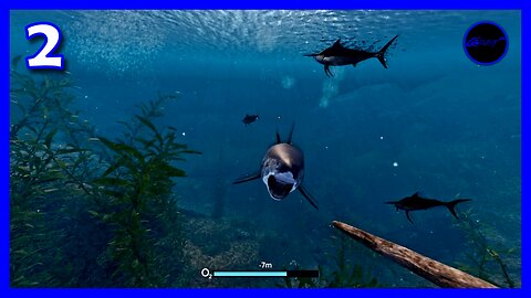 Lost a finger spearing marlin — SUNKENLAND : fresh kevin (2)