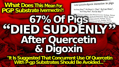 Pig Study: Does Quercetin + Ivermectin = DEPOPULATION?! Are We Being Tricked Into Killing Ourselves?