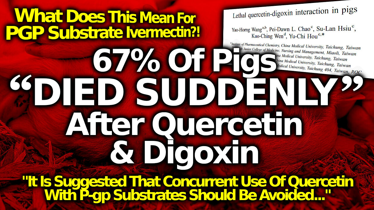 Pig Study: Does Quercetin + Ivermectin = DEPOPULATION?! Are We Being Tricked Into Killing Ourselves?