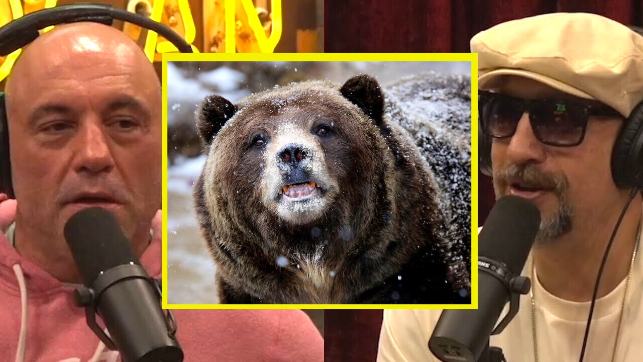 Cocaine Bear a TRUE STORY!!! with B-Real | JRE