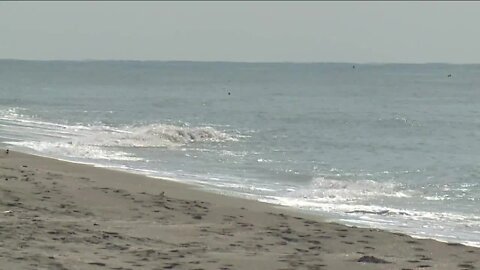 The Florida Department of Health in Lee County has issued a red tide alert