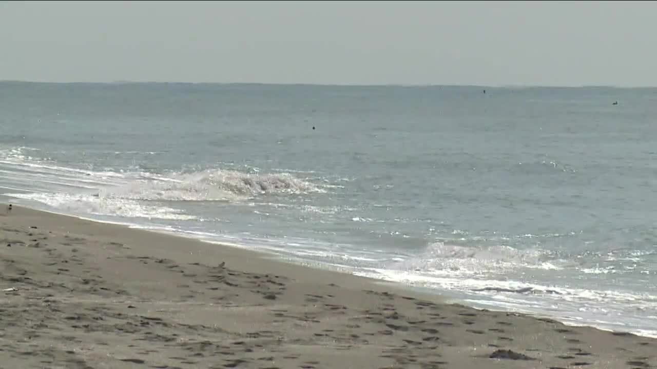 The Florida Department of Health in Lee County has issued a red tide alert