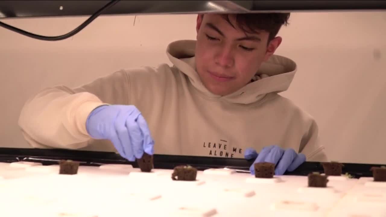 Bruce Randolph School gives back to community with Denver's first school-run hydroponic farm