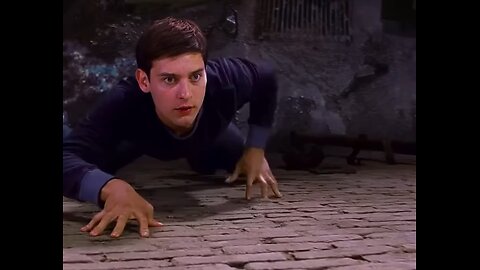 Web-Slinging Wonders: Swing Into Action with 'Spider-Man Chronicles' #Superheroes #Action #Adventure