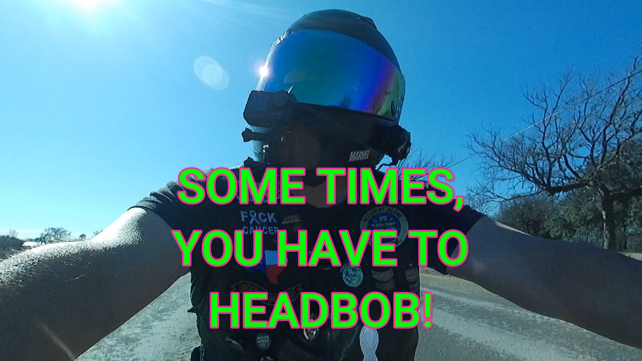 SOME TIMES, YOU HAVE TO HEADBOB!