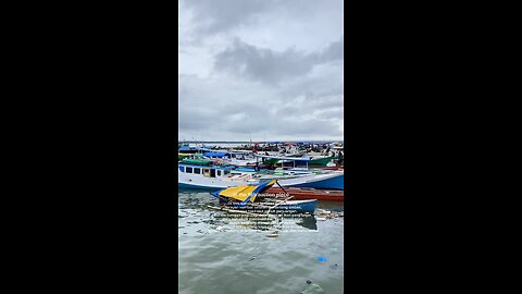 AT A FISH AUCTION PLACE