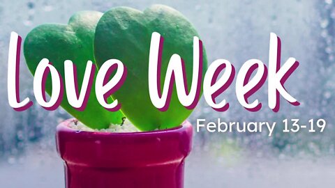 Escape winter and visit The Buffalo and Erie County Botanical Gardens - Part 3