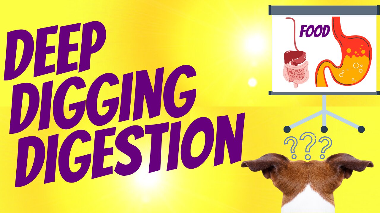 Uncover the Truth About Digestion: Calories Don't Always Tell the Whole Story