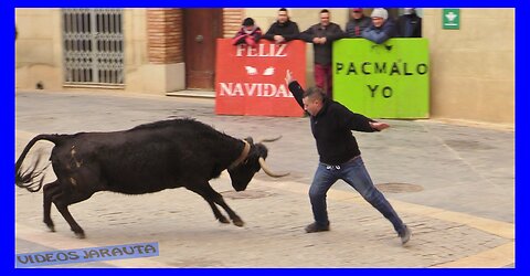 CARIÑENA ( ZARAGOZA ) TARDE VACAS EN LA CALLE ( DOMINGO 29 ENERO 2023 ) GAND.JAVIER SORIA