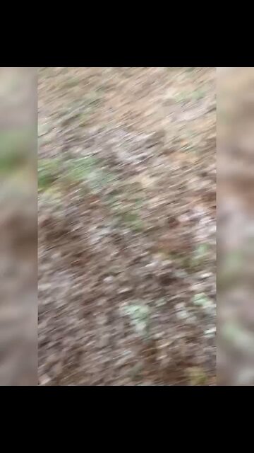 She’s a Maniac 🐶💃🕺🏼🎶❤️😂