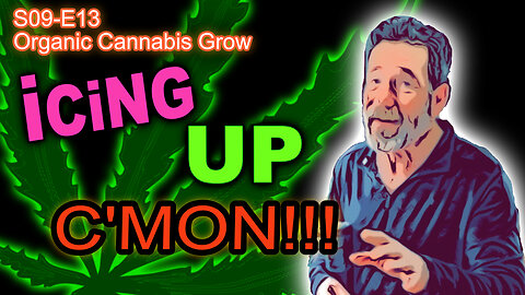 S09 E13 - Week 5 Of Flower In Our Cannabis Grow - Giving Thanks For All Things Good!!! 🦃 🙏🥰🪴