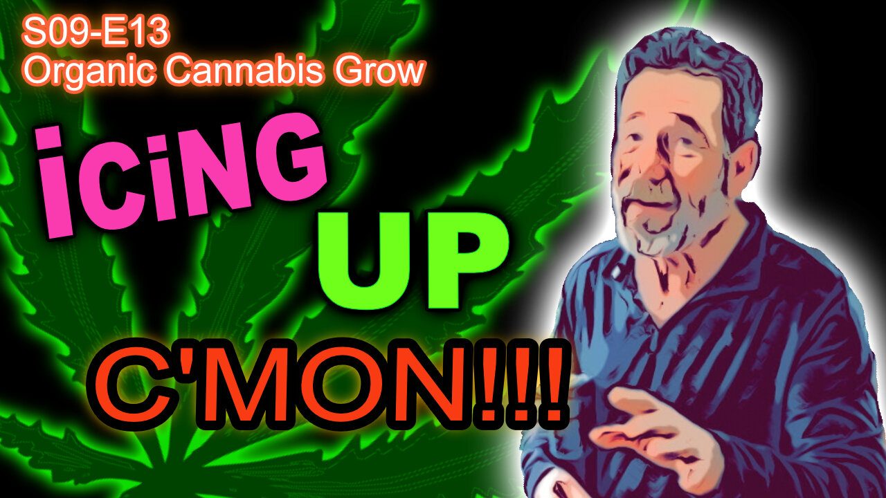 S09 E13 - Week 5 Of Flower In Our Cannabis Grow - Giving Thanks For All Things Good!!! 🦃 🙏🥰🪴