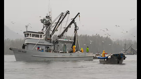 Geoengineered Manipulated Weather Sinks Commercial Fishing Vessel Wind Walker in Southeast Alaska!😢