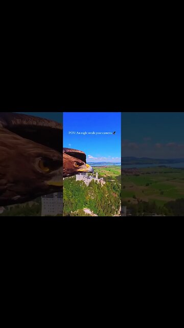 View of Germany from an eagle's flight