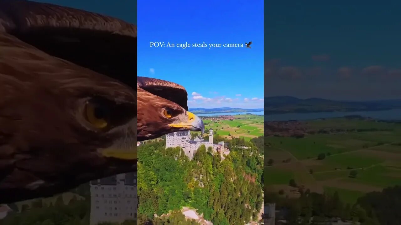 View of Germany from an eagle's flight