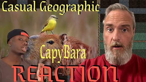 Casual Geographic Cabybara Reaction