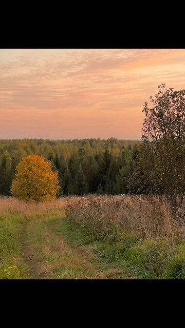 Autumn is in the air