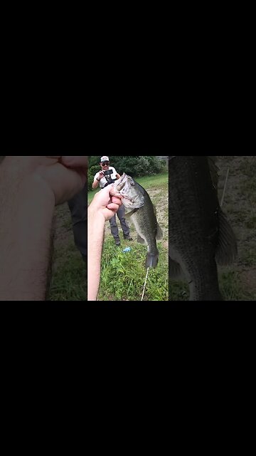 HUGE largemouth on a topwater whopper plopper!