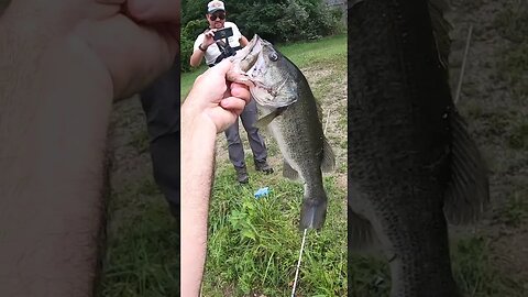 HUGE largemouth on a topwater whopper plopper!