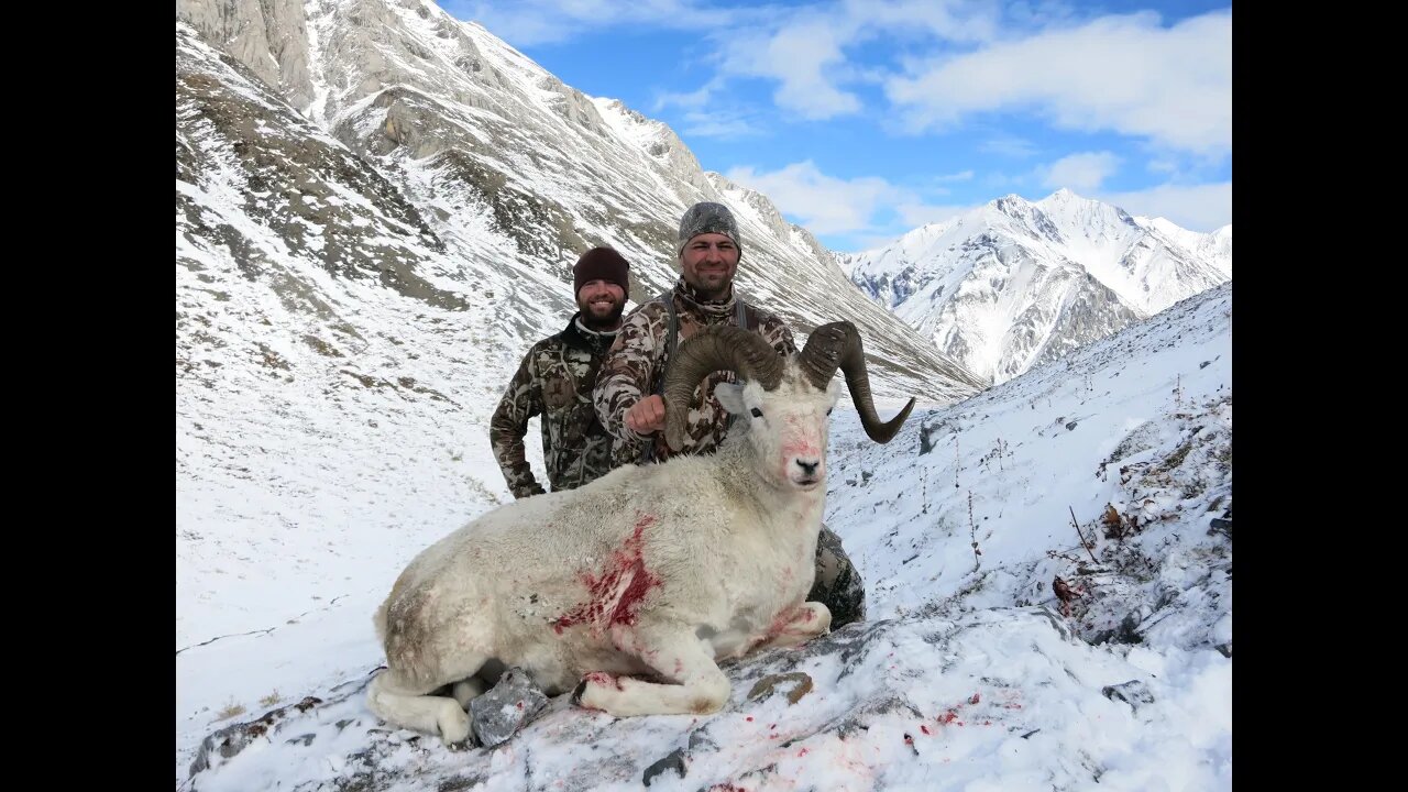 "Answered Prayer", Trust The Guide #11, Gospel Through Hunting, Alaska Dall Sheep Hunter's Ministry