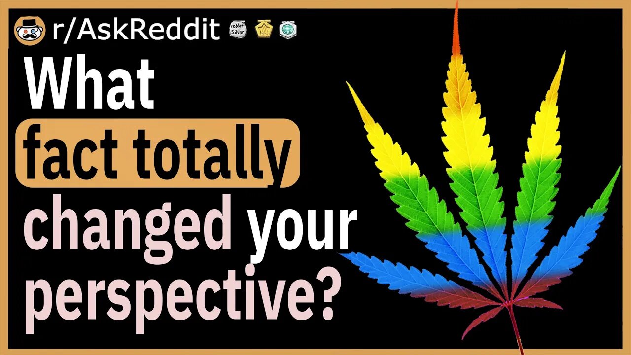What fact totally changed your perspective?