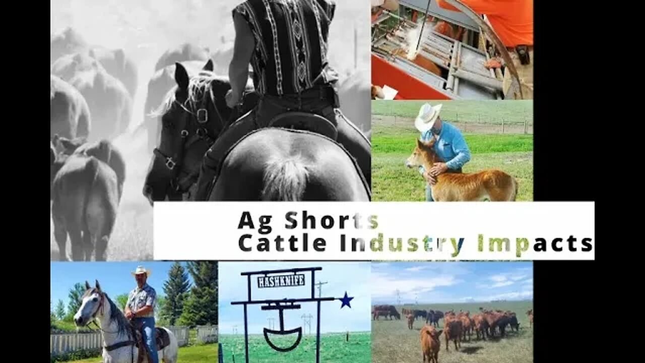 Industry Impacts | Rural Communities | Cattle Ranching - Ag Shorts