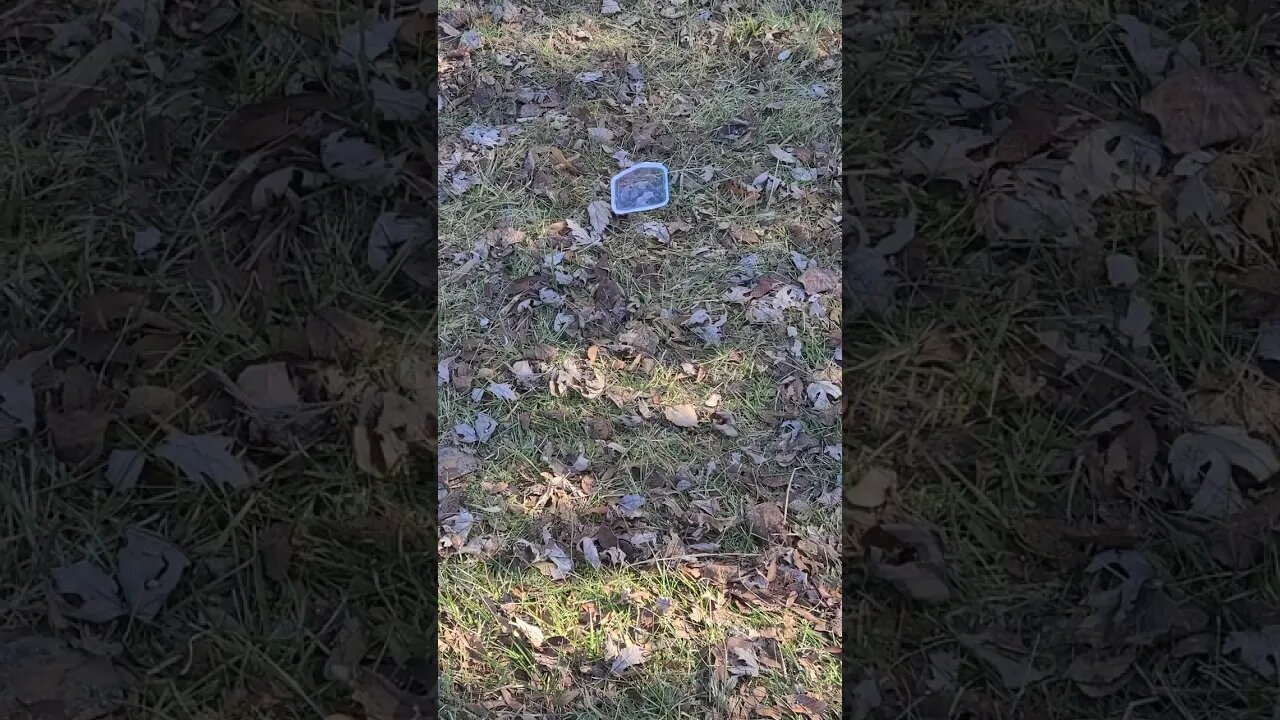 plastic thing #shorts