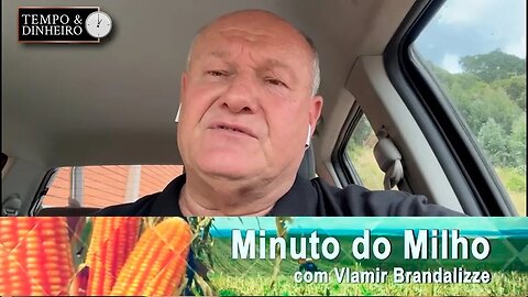 Milho batendo recorde de exportações em janeiro