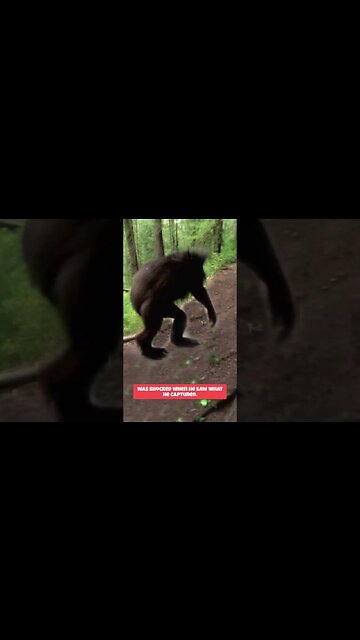 He Captured it on Camera #shorts